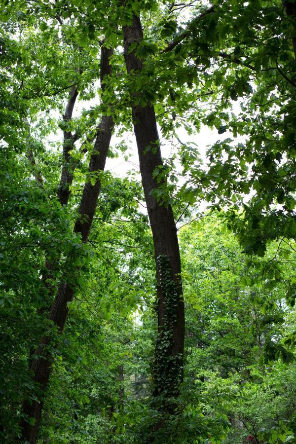 Buitenplaats Petersburg Arnhem Dış mekan fotoğraf
